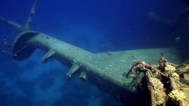 Deel van scheepswrakken Salem Express onder water in de Rode Zee in Egypte. — Stockvideo