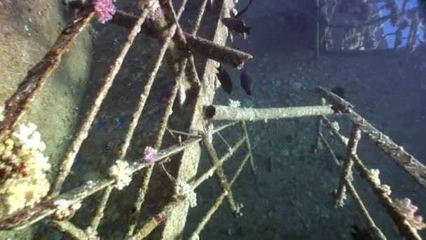 Deck of ship Salem Express wrecks underwater in Red Sea in Egypt. — Stok Video