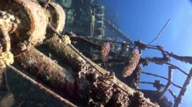 Gemi enkazı Salem Express Mısır 'daki Kızıl Deniz' de suyun altında..