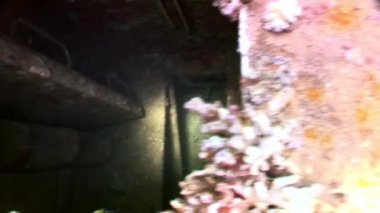 Gemi enkazı Salem Express Mısır 'daki Kızıl Deniz' de suyun altında..