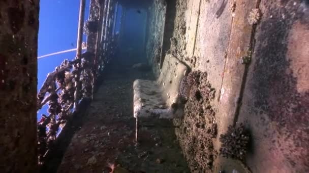 エジプトの紅海で水中の船セイラムエクスプレス難破船のデッキ. — ストック動画