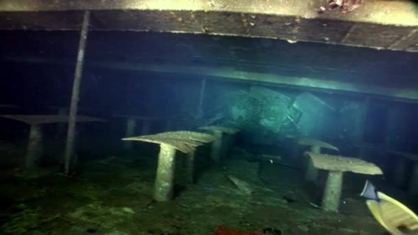 Ναυάγιο Salem Express υποβρύχια στην Ερυθρά Θάλασσα στην Αίγυπτο. — Αρχείο Βίντεο