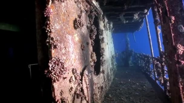 Bagian dari bangkai kapal Salem Express di bawah air di Laut Merah di Mesir. — Stok Video