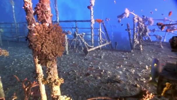 Deck of ship Salem Express wrecks underwater in Red Sea in Egypt. — Stock Video