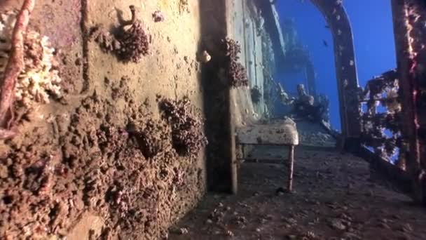 Naufragio Salem Express bajo el agua en el Mar Rojo en Egipto. — Vídeo de stock