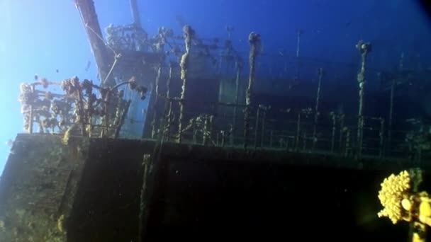 Fartygsdäck Salem Express vrak under vatten i Röda havet i Egypten. — Stockvideo