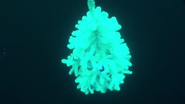 Arbre de Noël blanc sous-marin et plongeur dans le Nouvel An dans le lac Baïkal. — Video