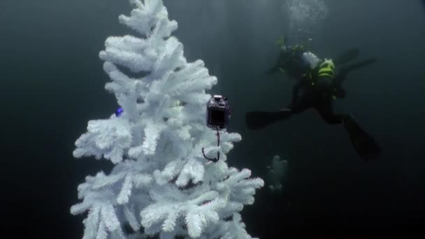 Vacaciones y buceo en Año Nuevo cerca del árbol de Navidad bajo el agua. — Vídeos de Stock