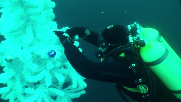 Buceador cerca del árbol de Navidad blanco bajo el agua del lago Baikal. — Vídeo de stock