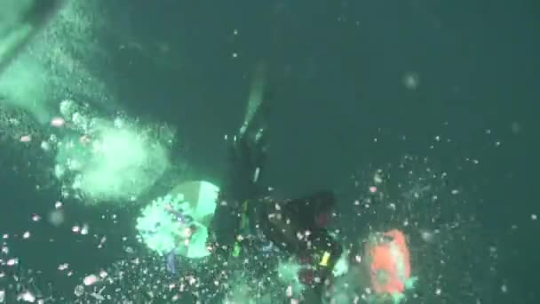 Ünnepi búvárkodás és búvárkodás a víz alatti karácsonyfa közelében. — Stock videók