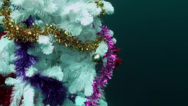 Vacanze e immersioni subacquee a Capodanno vicino all'albero di Natale subacqueo. — Video Stock