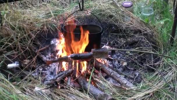 Pescado del río se fríe en el fuego cerca de jugador de bolos. — Vídeo de stock