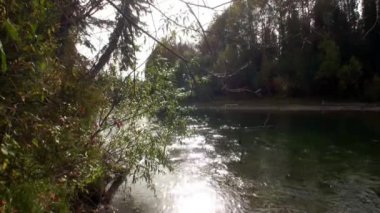 Lena nehrinin su yüzeyine yansıyan güneş ışığı..