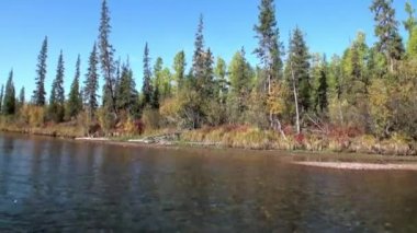 Sibirya Rusya 'nın ıssız taygasında Lena Nehri kıyıları.