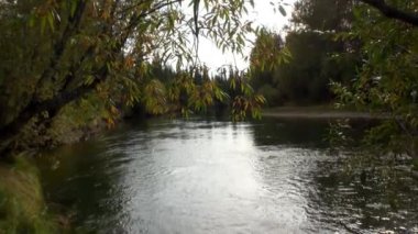 Sibirya Rusya 'nın ıssız taygasında Lena Nehri kıyıları.