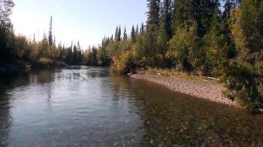 Sibirya 'daki Lena nehrinin berrak saydam sularıyla dolu akıntılar..