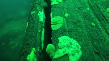 Baykal Gölü 'nün soğuk sularının altında şeffaf buzdan oluşan sualtı manzarası.