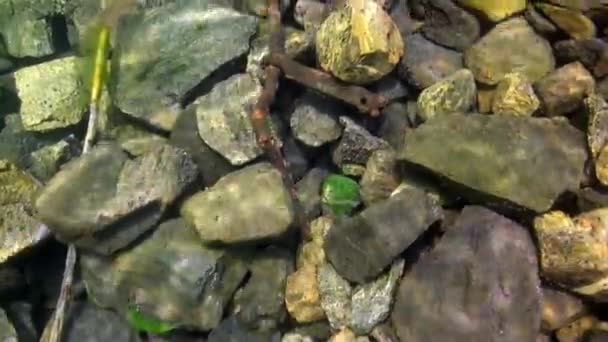 Onderwater landschap van helder transparant ijs onder koud water van het Baikalmeer. — Stockvideo