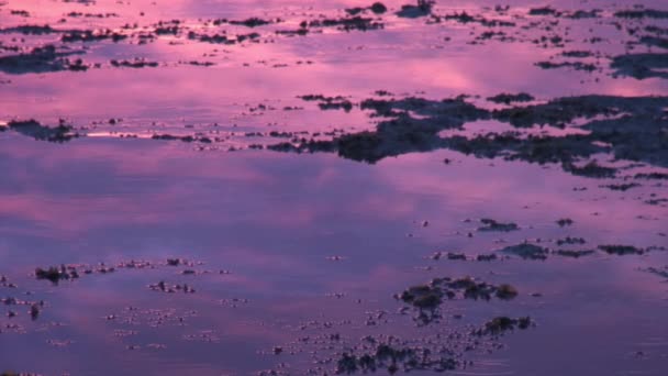 Water surface and reflection purple sunset over sea on islands of Philippines. — Stock Video