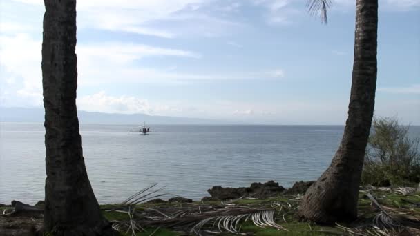 Palmy na pobřeží Jihočínského moře na ostrovech Filipínské republiky. — Stock video