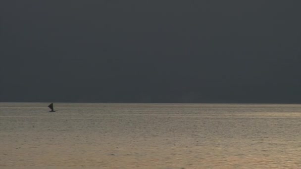 Jasně fialový západ slunce nad mořem na ostrovech Filipínské republiky. — Stock video