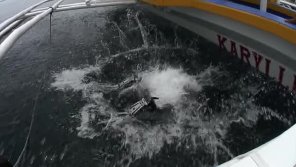 Водолазы ныряют в воду с Филиппинской лодки с бамбуковыми крыльями. — стоковое видео