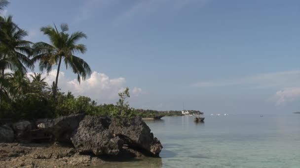 Palmen am Ufer des Südchinesischen Meeres auf Inseln der Philippinen. — Stockvideo