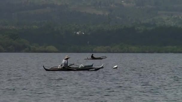 Paesaggio costiero con palme sulle isole della Repubblica delle Filippine. — Video Stock