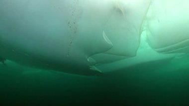 Baykal Gölü 'nün buzunun altındaki sualtı manzarası.