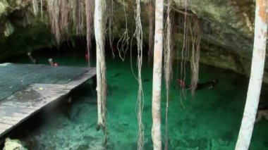 Yucatan Meksika 'da sualtı dalışı.