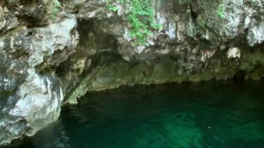Yucatan Meksika 'da sualtı dalışı.