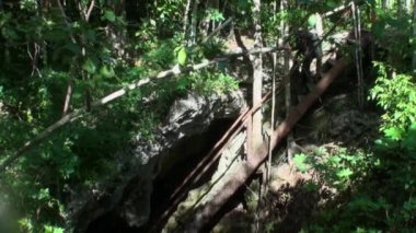 Yucatan Meksika 'da sualtı dalışı.