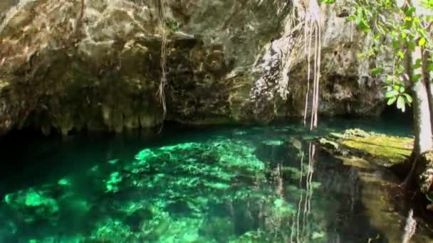 Підводні занурення у воді в Юкатані Мексика сеноти. — стокове відео