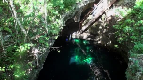 Yucatan Meksika 'da sualtı dalışı. — Stok video
