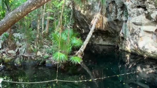 Buceo bajo el agua en Yucatán México cenotes. — Vídeo de stock