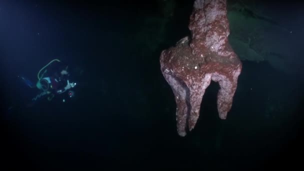 Yucatan Meksika sualtı mağaralarındaki dalgıçlar. — Stok video