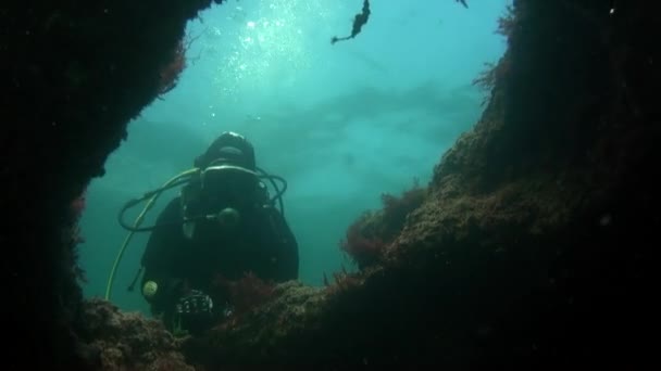Mergulhadores perto de rochas subaquáticas e fendas no oceano Atlântico. — Vídeo de Stock