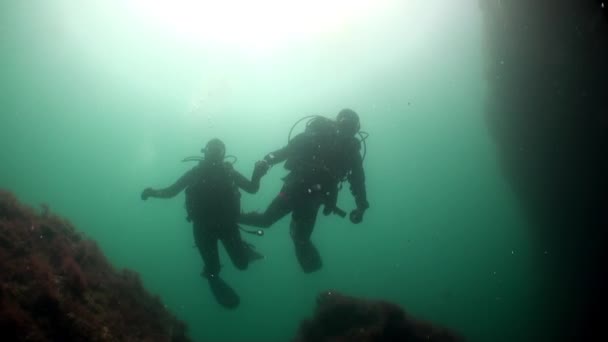 Dykkergruppe under vann ved dekompresjon i Atlanterhavet. – stockvideo
