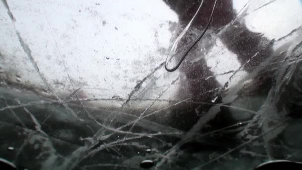 Fotografování pod ledem hokejistů venku u jezera Bajkal. — Stock video