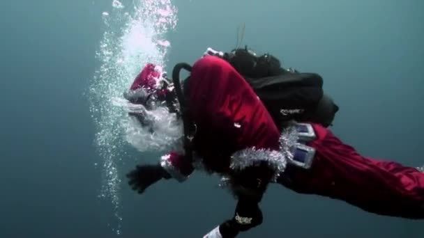 Vakantie en duiken in Nieuwjaar in de buurt van onderwater kerstboom. — Stockvideo