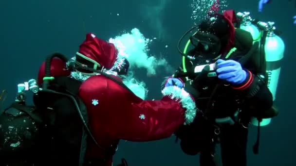 Vakantie en duiken in Nieuwjaar in de buurt van onderwater kerstboom. — Stockvideo