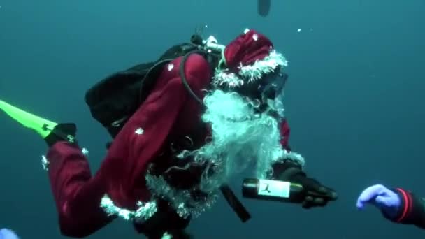 Holiday and scuba diving in New Year near underwater Christmas tree. — Stok Video