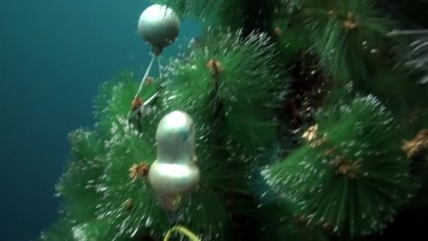 Festive balls and toys decorate underwater Christmas tree in New Year. — Stock Video