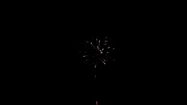 Elemento de fuegos artificiales del festival sobre fondo negro para crear un conjunto de saludos. — Vídeos de Stock