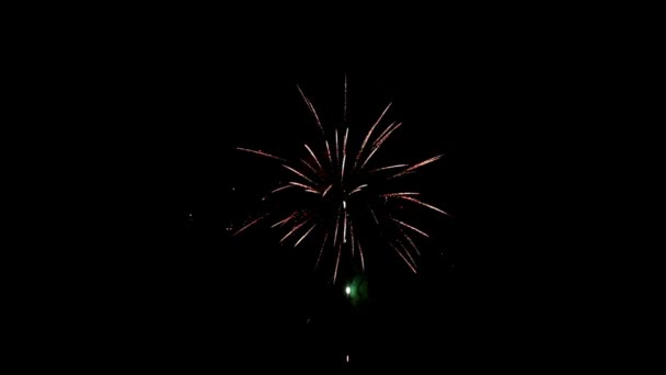 Feuerwerk auf schwarzem Hintergrund, um eine Reihe von Salutschüssen zu erzeugen. — Stockvideo