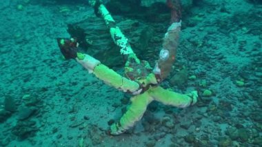 Baykal Gölü 'nün dibindeki su altında çapayı kaybettik..