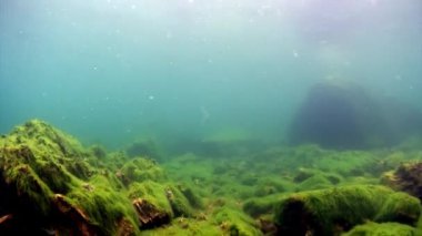 Baykal Gölü 'nün altında..