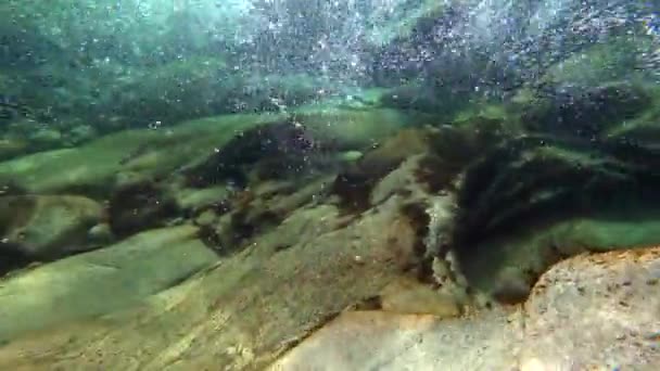 Närbild under vattnet utsikt över vatten och släta stenar med alger lyser i solen. — Stockvideo