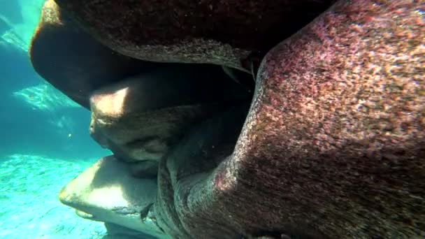 Detailní hladký velký kámen pod vodou Verzaska horské řeky ve Švýcarsku. — Stock video