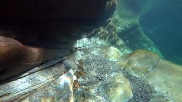 Fondo de piedra de primer plano del río de la montaña Verzaska en Suiza. — Vídeos de Stock